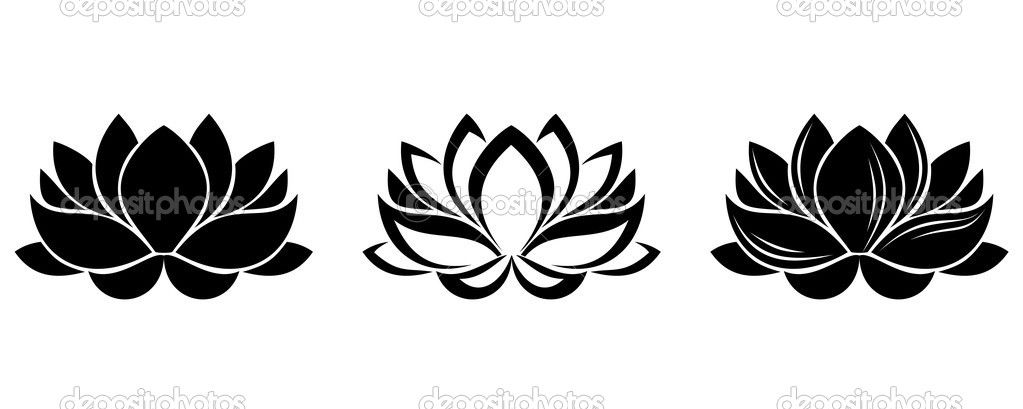 1023x409 Lotus Flowers Silhouettes. Set Of Three Vector Illustrations