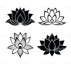 236x214 Lotus Flowers Graphics Drawings