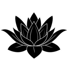 236x247 Lotus Set 2