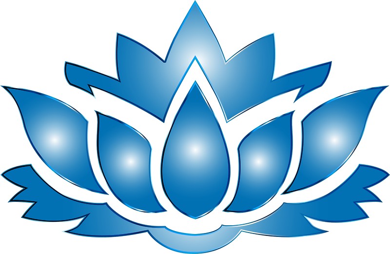 800x521 Ultramarine Lotus Flower Silhouette No Background. Stickers By
