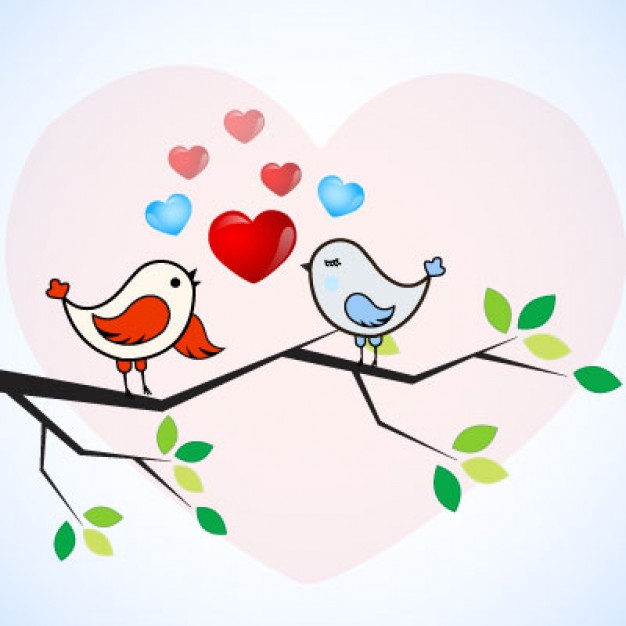 626x626 Love Bird Vector Free Download