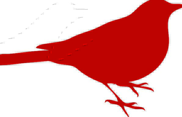 596x385 Black Bird, Sedentary, Silhouette, Outline, Sitting, Red