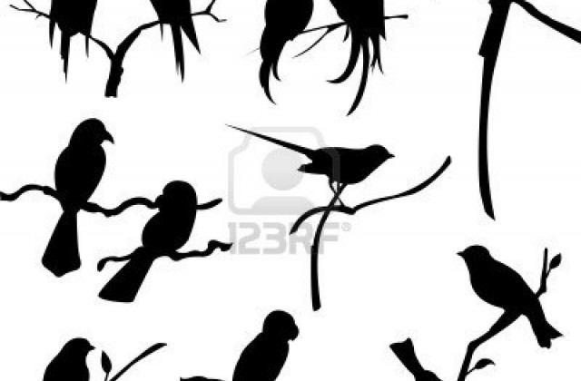640x420 Kissing Love Bird Silhouette. Dancin In The Rain Romantic Art