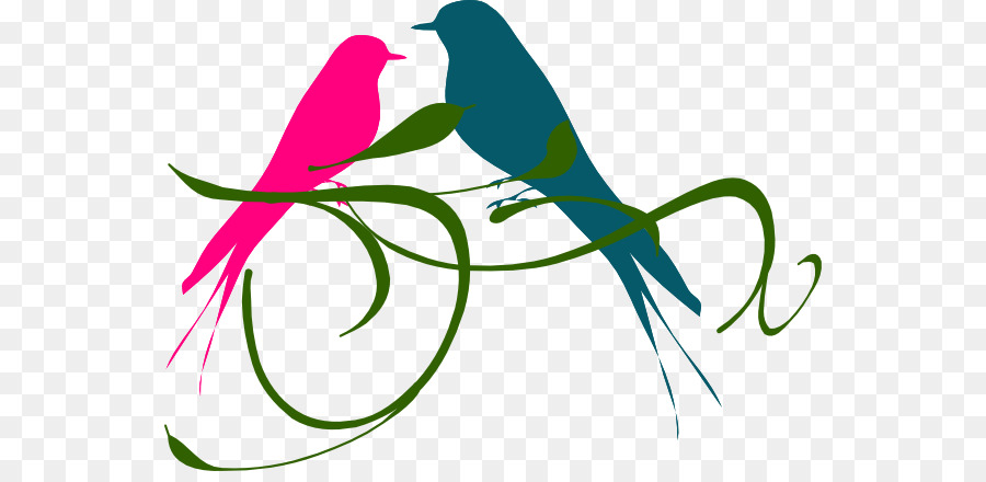 900x440 Lovebird Budgerigar Silhouette Clip Art