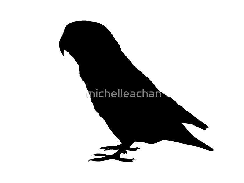 800x600 Lovebird Silhouette Art Prints By Michelleachan Redbubble