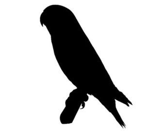 340x270 Lovebird Silhouette Custom Die Cut Vinyl Decal Sticker