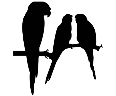 456x380 Free Vector Parrot Silhouettes, Clip Arts