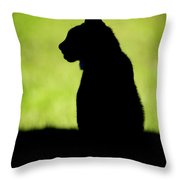 180x180 Silhouette Of Lynx On Grass In Profile Photograph By Ndp