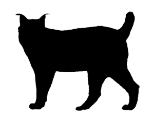300x240 Silhouette Lynx