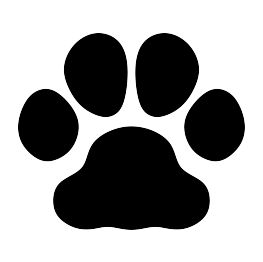 263x262 391 Best Silhouette Images On Vinyl Projects, Cricut