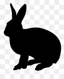 260x320 Hare Png And Psd Free Download