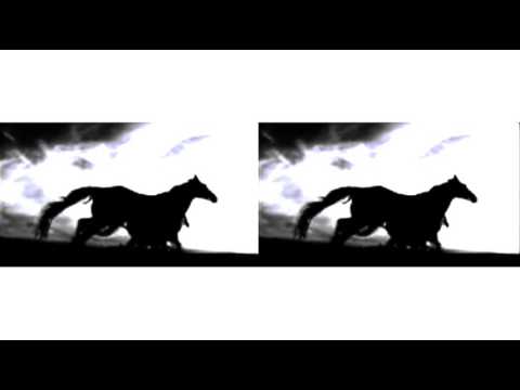 480x360 Madonna Future Lovers Backdrop [Horse]