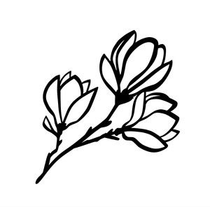 300x300 Silhouette Design Store