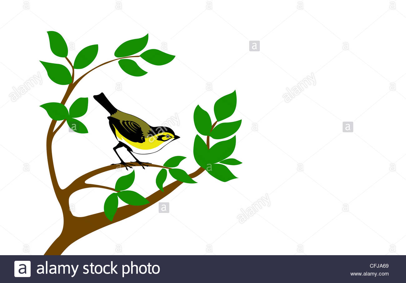 1300x905 Vector Silhouette Bird On Tree Stock Photo 44043729