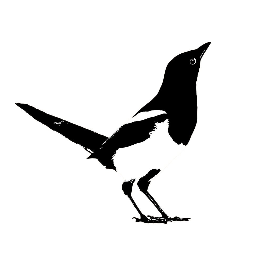 Magpie Silhouette at GetDrawings | Free download