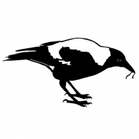 202x202 Shop For Products