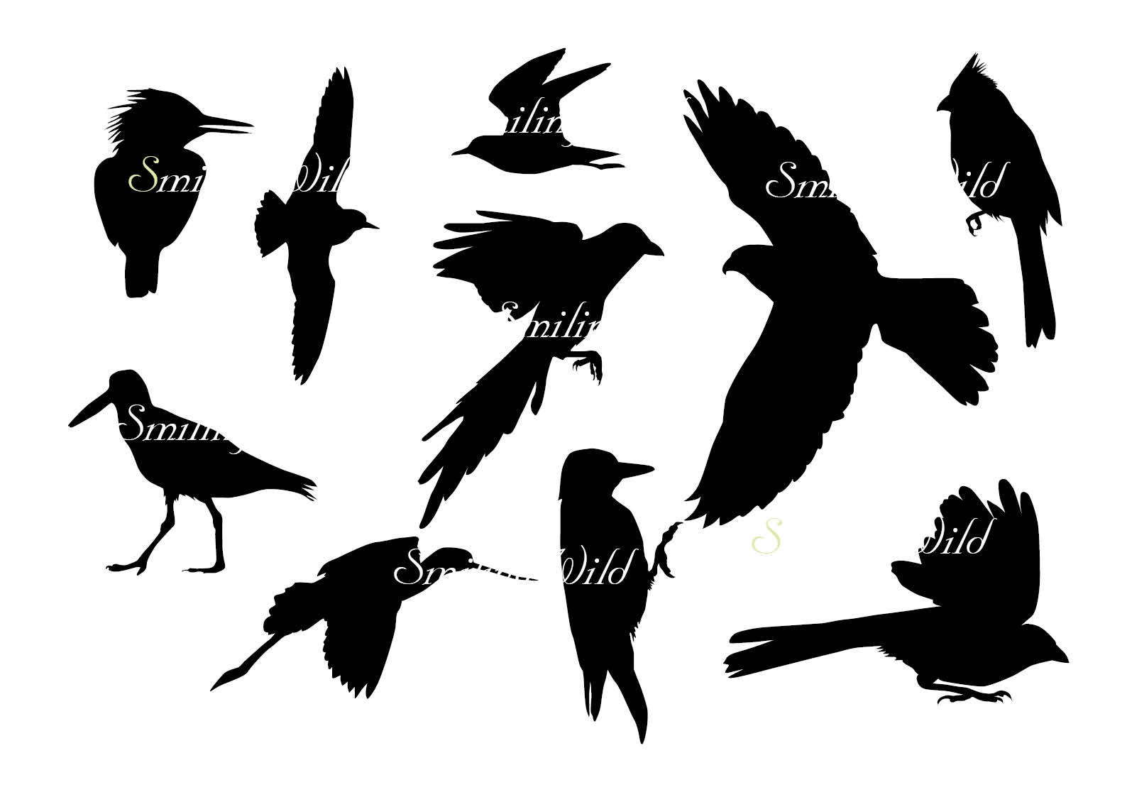 1588x1123 Bird Silhouette North America Bird Svg Cutout Png Vector Graphic