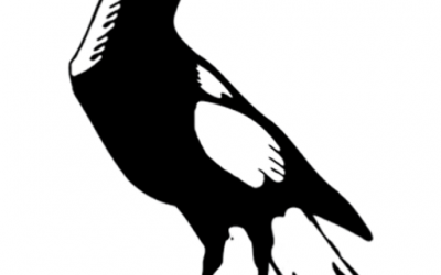 400x250 Diamond Valley Magpies