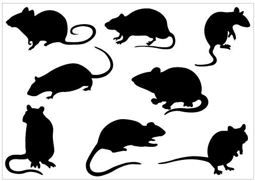 507x360 Rat Silhouette Clip Art Pack Template Clipart