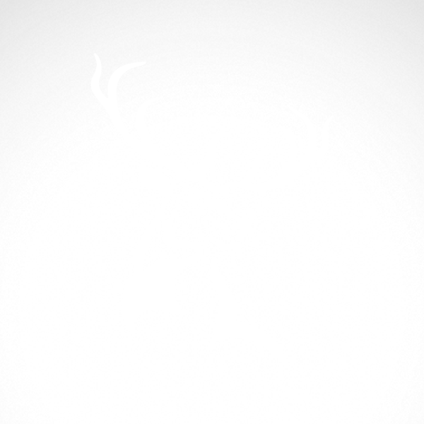 600x600 Simple Color Vinyl Male Deer Head Stickers Factory