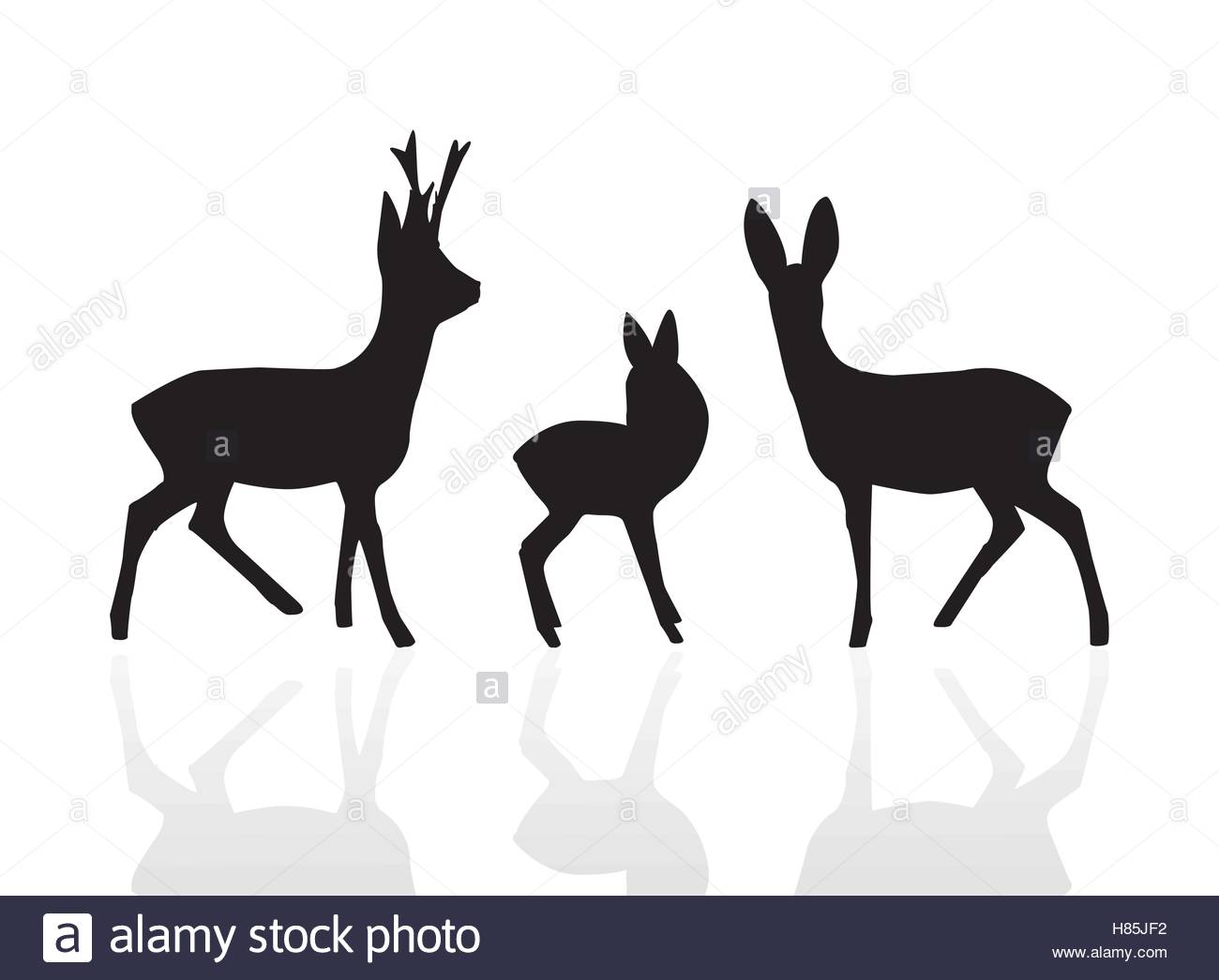 1300x1046 Set Silhouette Male, Female And Young Deer In Black Color Vector