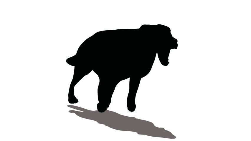 852x480 Male Hand Holding A Corkscrew Isolated Black Silhouette Of A Male