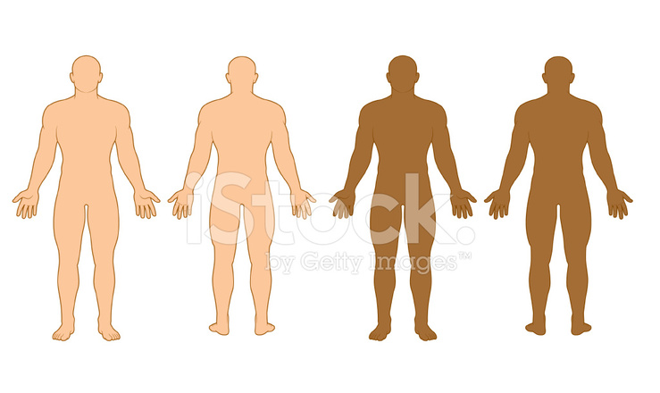 739x440 Male Body Outline Stock Vector
