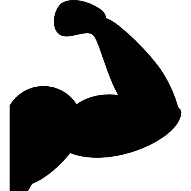 626x626 Male Muscles Of Sports Icons Free Download