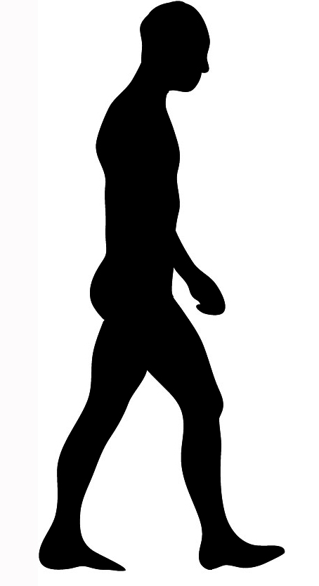 454x834 Body Silhouettes