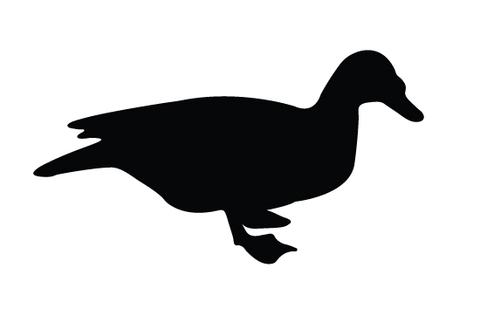 480x309 Duck Silhouette Vector Silhouettes Vector