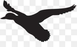 260x160 Free Download Duck Mallard Silhouette Clip Art