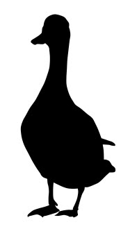197x330 Silhouette Mallard Duck Dxf File Free Download