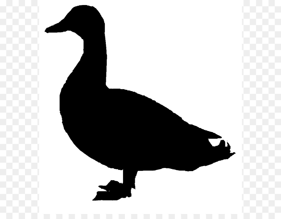900x700 Donald Duck Mallard Goose Clip Art