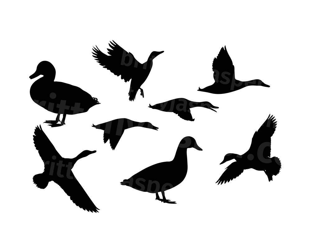 1000x794 Duck Silhouettes Svg Vector Clip Art