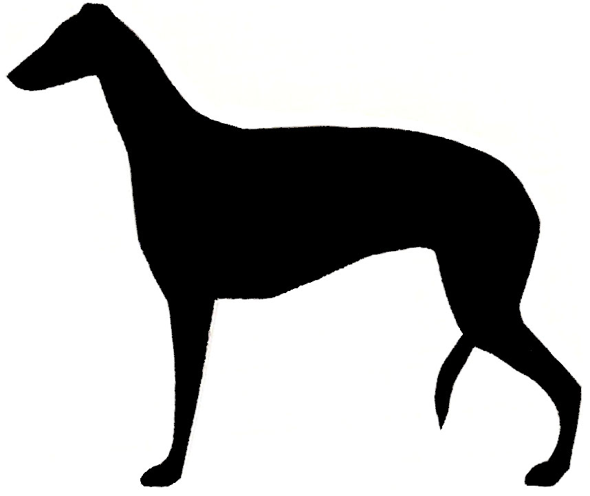 858x721 Greater Swiss Mt. Dog