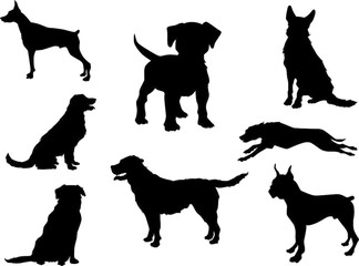 324x240 Search Photos Mammals