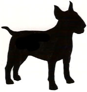 178x187 Greater Swiss Mt. Dog