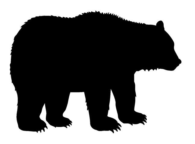 647x480 Bear Silhouette 2