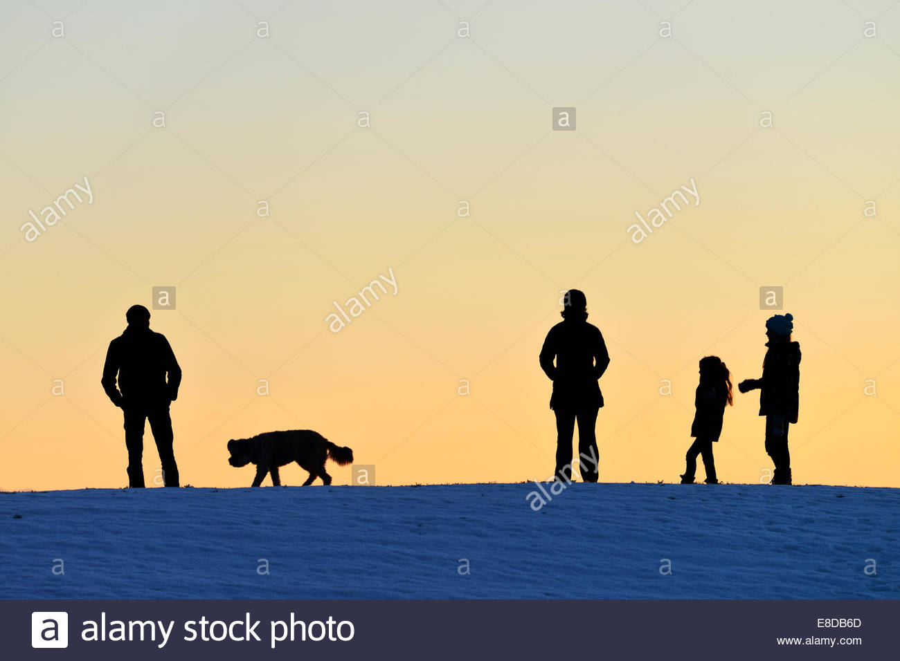 1300x956 Family With Dog, Silhouette In The Light Of The Setting Sun