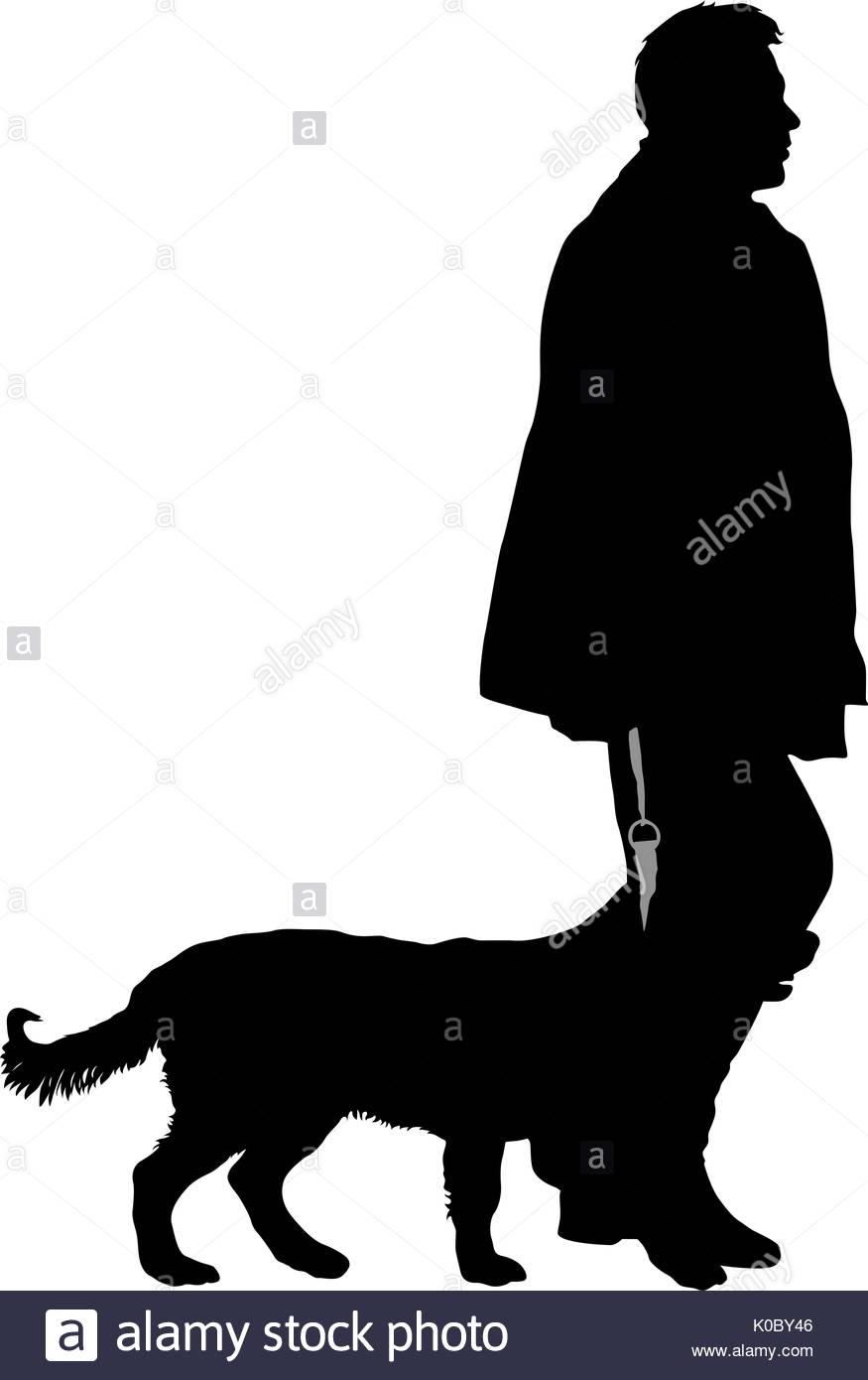 875x1390 Rottweiler Dog Black And White Stock Photos Amp Images
