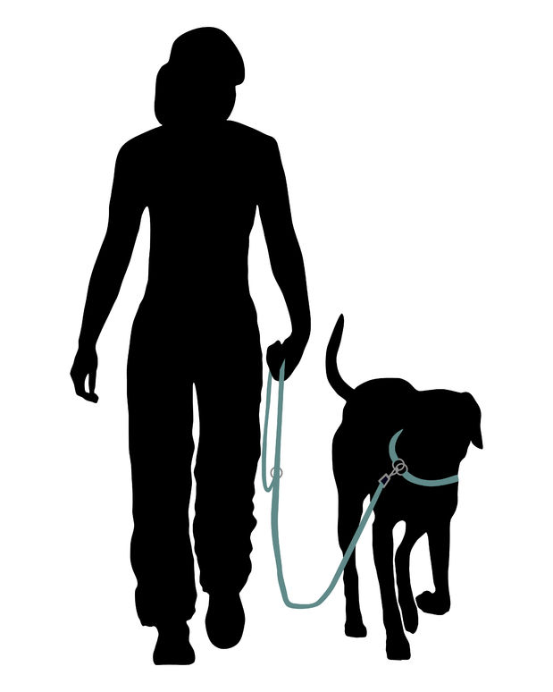 619x774 Woman Walking Dog