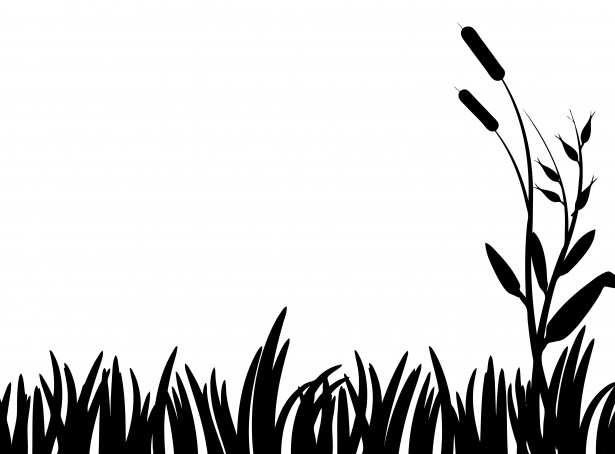 615x454 Grass Clipart Silhouette