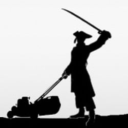 250x250 Pirate Bay Lawn Care