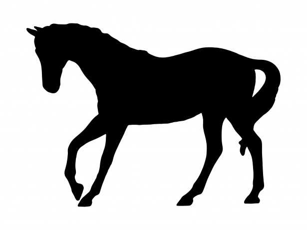 615x461 Man And Horse Silhouette Vector Stock Vector Colourbox