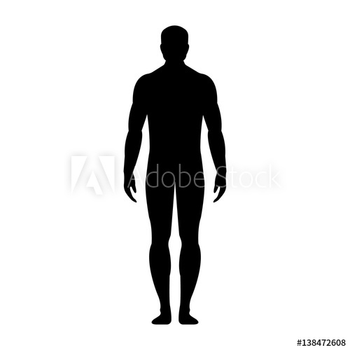 500x500 Human Front Side Silhouette. Isolated On White Background. Vector