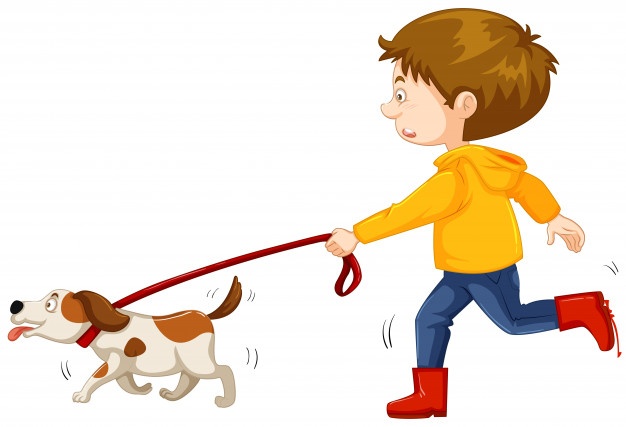 626x427 Dog Walk Vectors, Photos And Psd Files Free Download