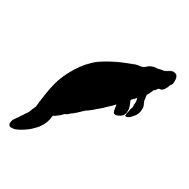 270x270 Manatee Silhouette Stencil Free Stencil Gallery