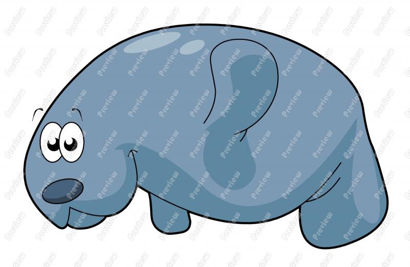 800x522 Manatee Clipart Animated
