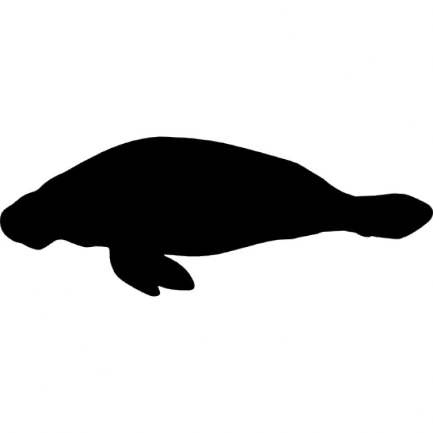 626x626 Manatee Shape Icons Free Download