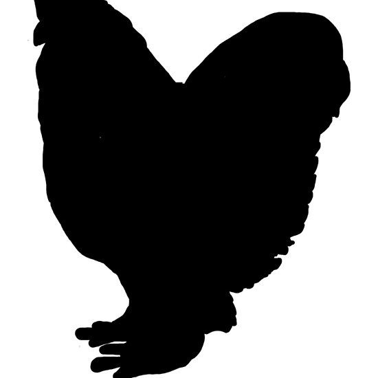 550x550 Cochin Chicken Black Silhouettes Cochin Chickens